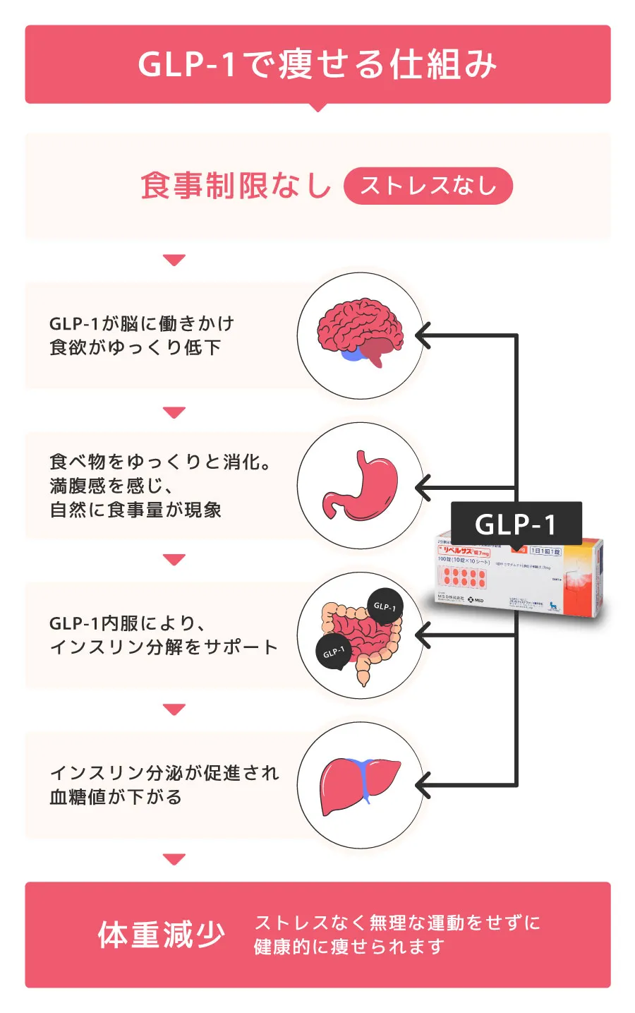 GLP-1のメカニズム解説図